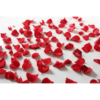 Red Dry Rose Petals
